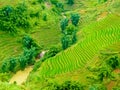 LÃÂ o Cai rice fields near Sapa Chapa in north mountains of Vietnam Royalty Free Stock Photo
